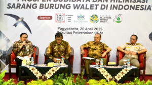 Kementan Dorong Hilirisasi Sarang Burung Walet Nasional